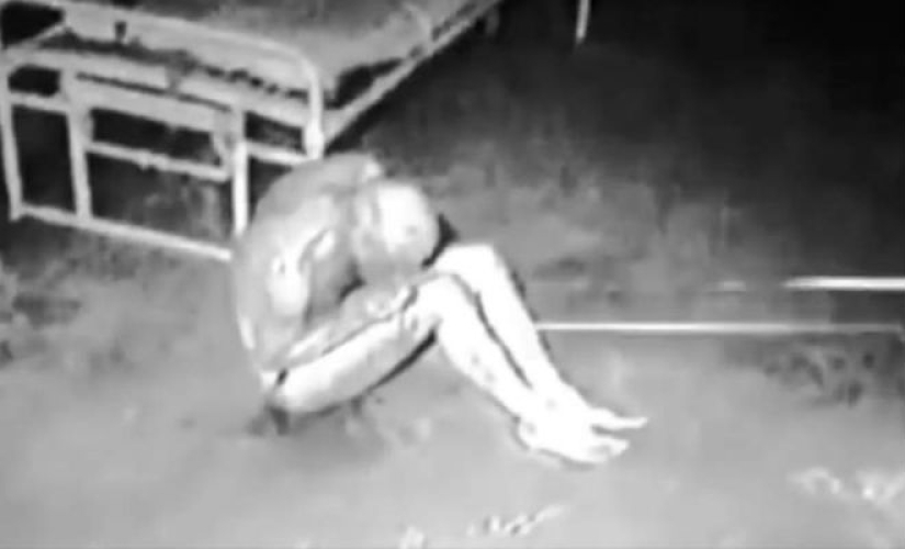 "Project Abigail" — what is known about the mutant woman from Area 51 "Project Abigail" — what is known about the mutant woman from Area 51