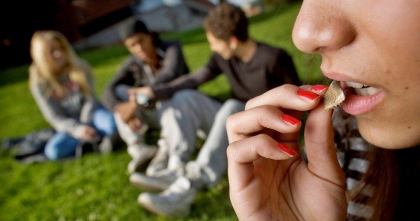 Qué es snus y puede reemplazar de forma segura los cigarrillos