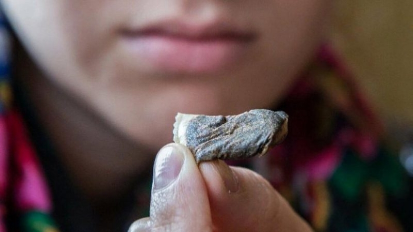 Qué es snus y puede reemplazar de forma segura los cigarrillos