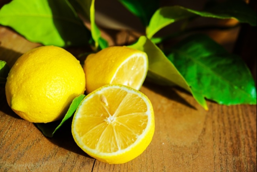 Quién no puede comer limón, jengibre, cebolla y ajo, y por qué