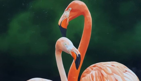 Realistic Bird Paintings By Petterson Silva Realistic Bird Paintings By Petterson Silva