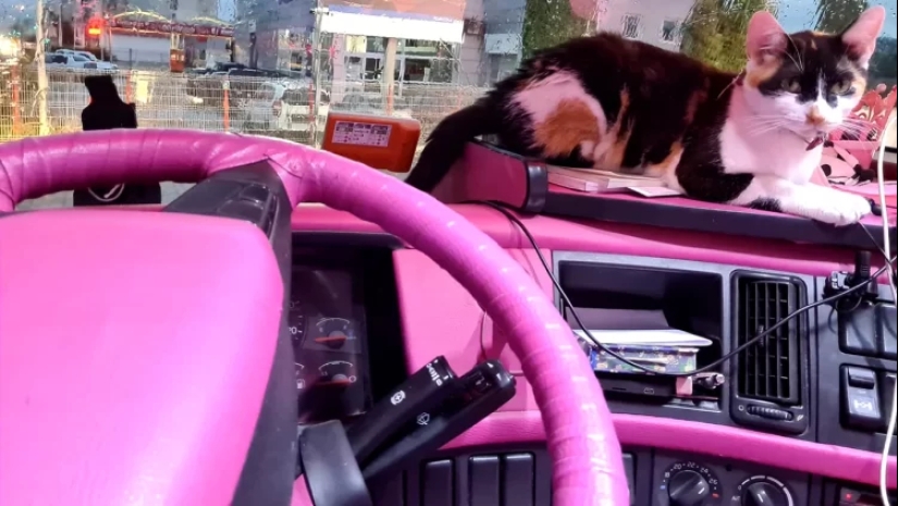 "Romanian Barbie": Europe's most unusual truck driver drives a pink truck "Romanian Barbie": Europe's most unusual truck driver drives a pink truck