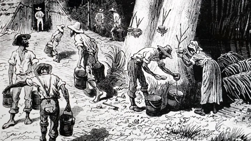 Rubber Fever, or the Story of a failed economic Miracle Rubber Fever, or the Story of a failed economic Miracle