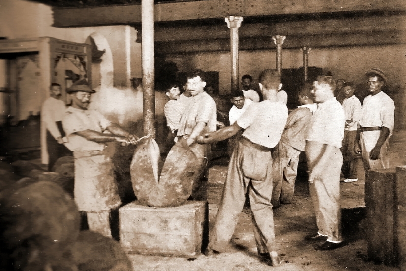 Rubber Fever, or the Story of a failed economic Miracle Rubber Fever, or the Story of a failed economic Miracle