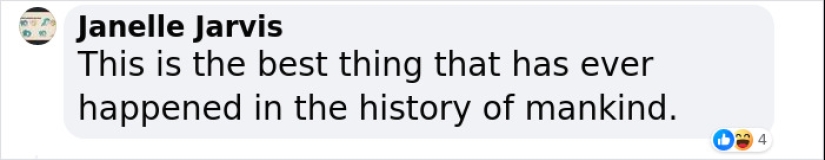 Rude Parrots That Can’t Stop Swearing Are In The Process Of Being Rehabilitated With New Flock