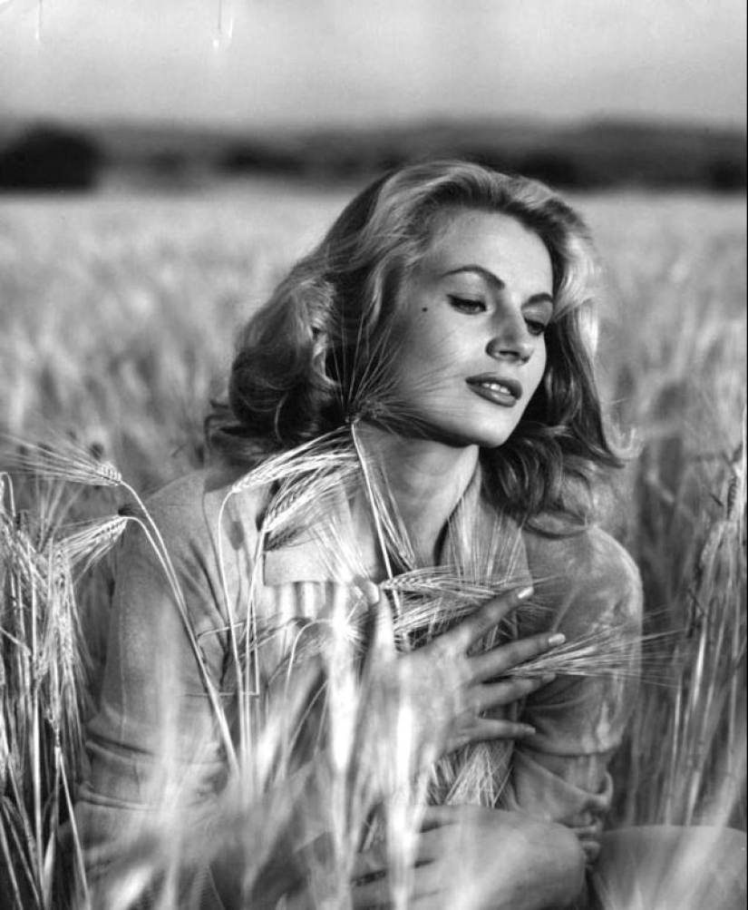 "Sabroso de la vida" Anita Ekberg — ¿cómo fue el triste destino de un símbolo sexual de los años 60