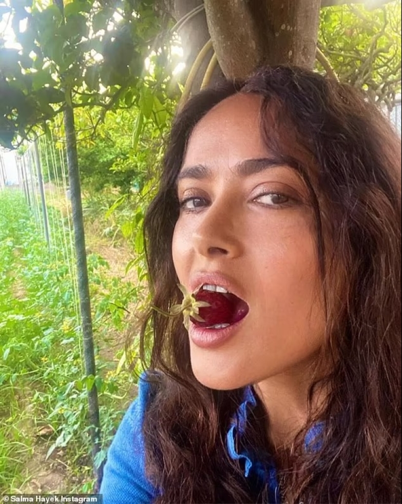 Salma Hayek, 57, is a makeup-free beauty as she eats a strawberry fresh off the vine during trip to 'magical' island in Italy