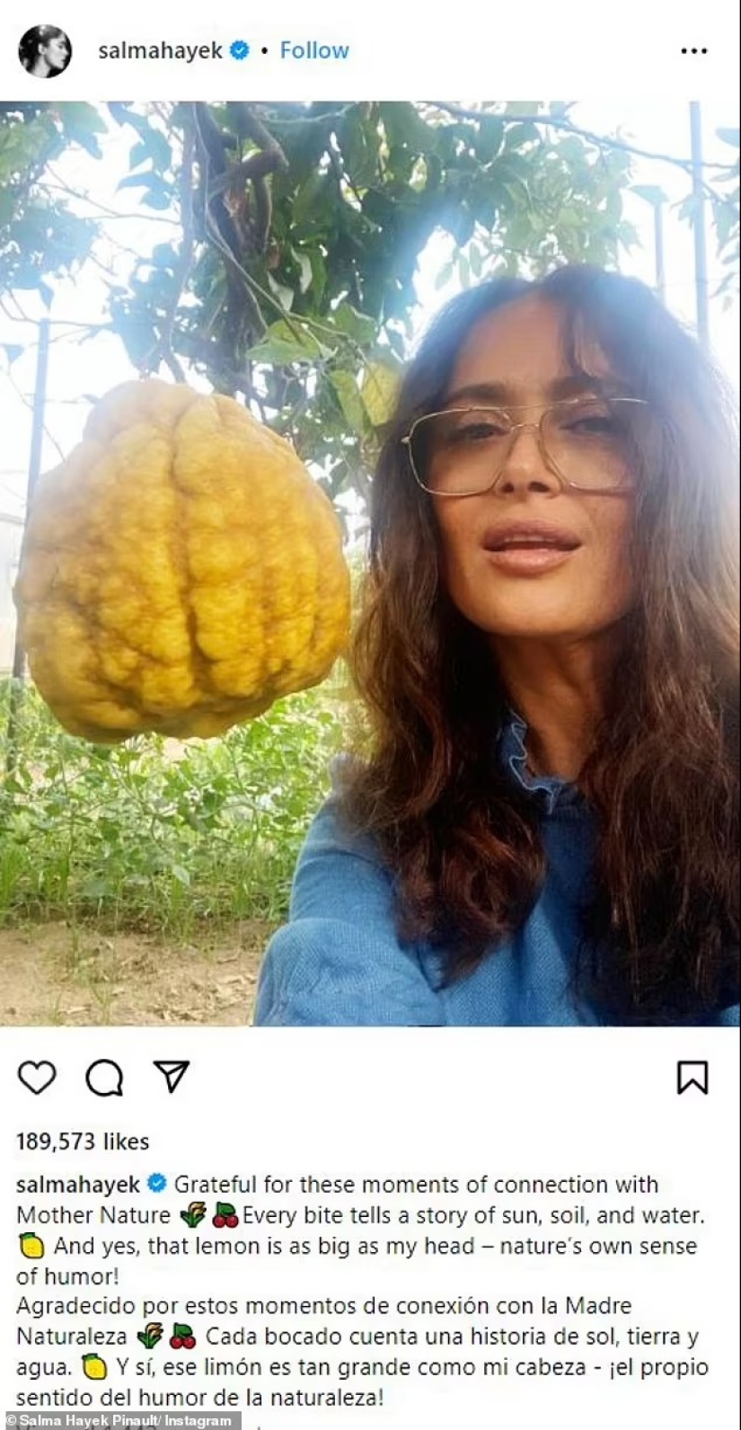 Salma Hayek, 57, is a makeup-free beauty as she eats a strawberry fresh off the vine during trip to 'magical' island in Italy