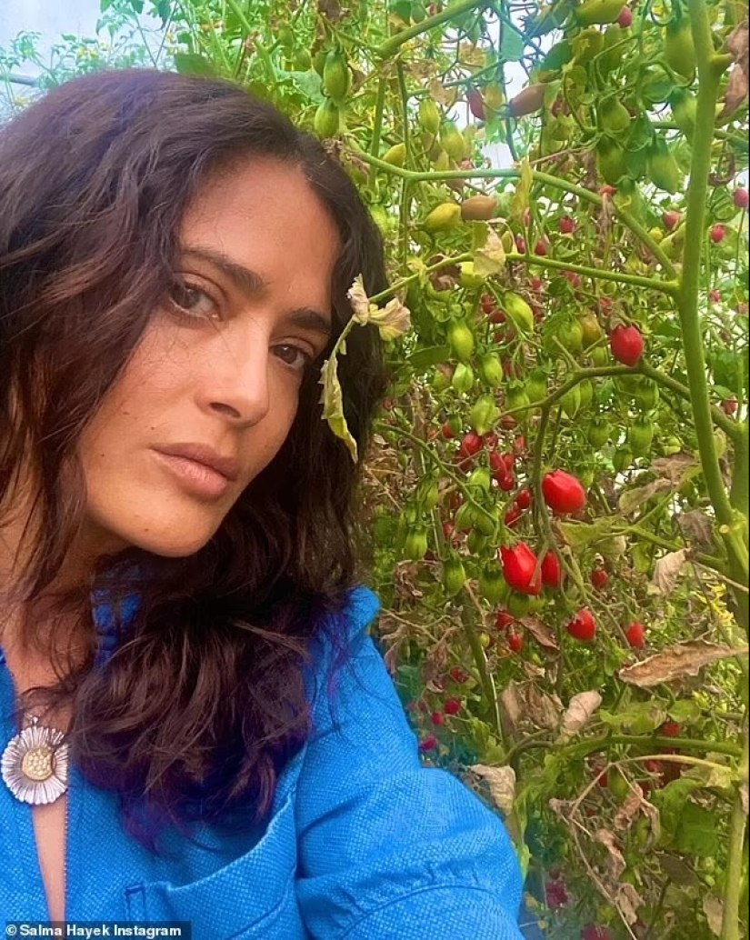 Salma Hayek, 57, is a makeup-free beauty as she eats a strawberry fresh off the vine during trip to 'magical' island in Italy