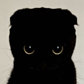 Saluda a MeonJi, la gata negra cuyas adorables fotos contagian alegría Saluda a MeonJi, la gata negra cuyas adorables fotos contagian alegría