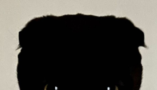 Say Hello To MeonJi, The Black Cat Whose Adorable Pics Are Spreading Joy Say Hello To MeonJi, The Black Cat Whose Adorable Pics Are Spreading Joy