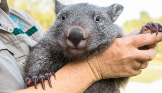 Scientists have found out how unusually the contemplation of the sea affects the health of men