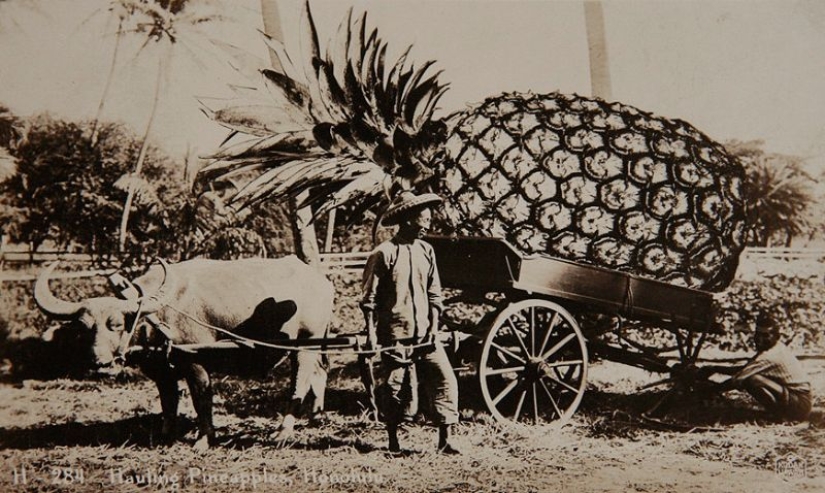 Se parecía a las fotos procesadas antes de la era del Photoshop Se parecía a las fotos procesadas antes de la era del Photoshop