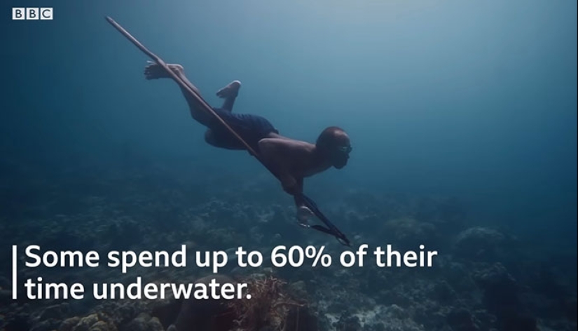 “Sea Men”: la capacidad sobrehumana de la tribu Bajau para contener la respiración se vuelve viral