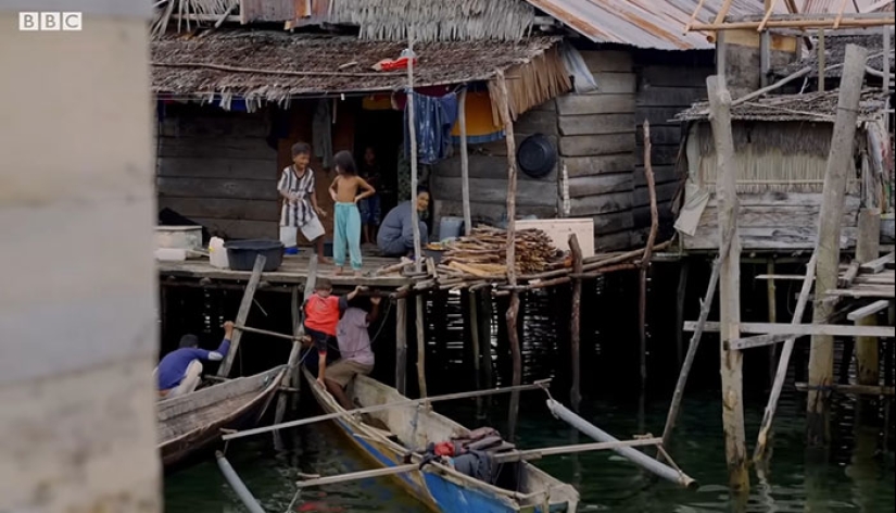 “Sea Men”: la capacidad sobrehumana de la tribu Bajau para contener la respiración se vuelve viral