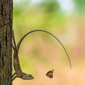 “See The Unseen”: 15 Weird And Wonderful Things Shared By This Online Community “See The Unseen”: 15 Weird And Wonderful Things Shared By This Online Community