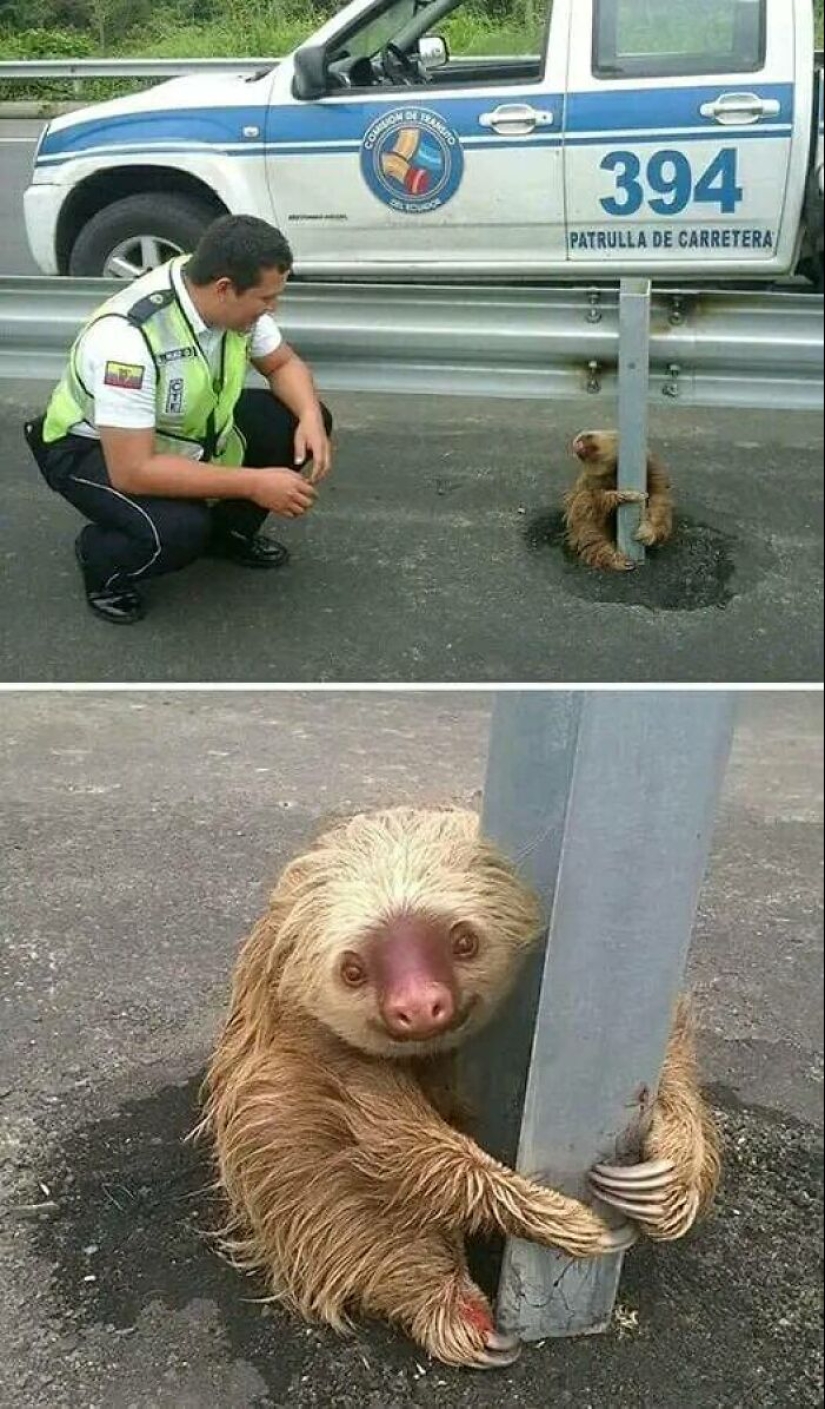“See The Unseen”: 15 Weird And Wonderful Things Shared By This Online Community “See The Unseen”: 15 Weird And Wonderful Things Shared By This Online Community