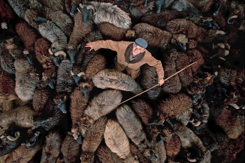 Seis fotografías notables con drones que compiten en los Siena Drone Photo Awards 2024
