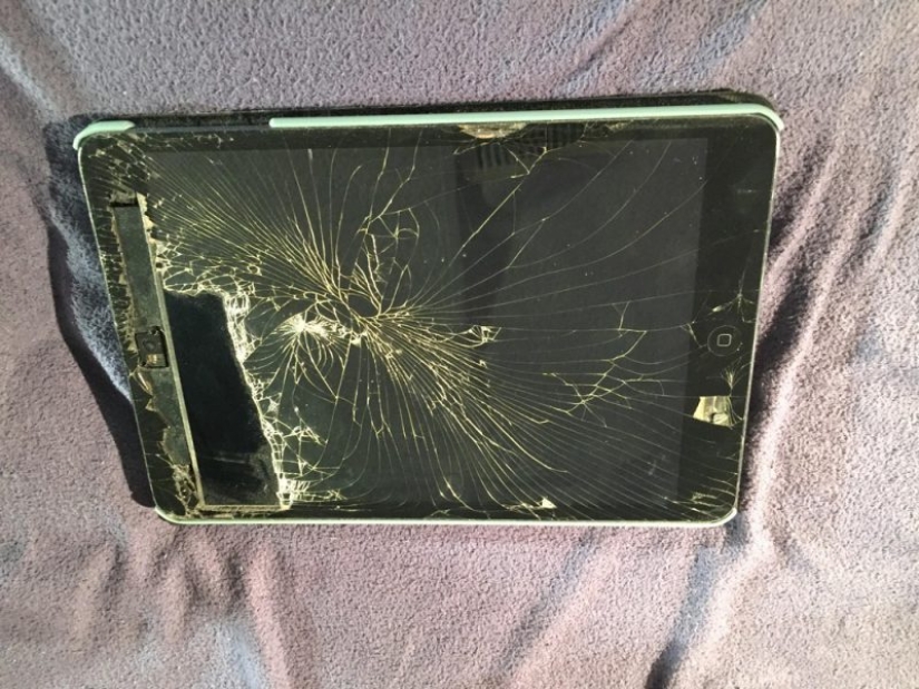 Shit happens: a compilation of the most epic of fails from the Internet Shit happens: a compilation of the most epic of fails from the Internet