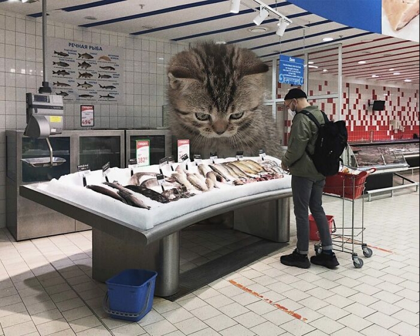 Si los gatos fueran gigantes: artista explora un concepto surrealista creando imágenes de apariencia realista