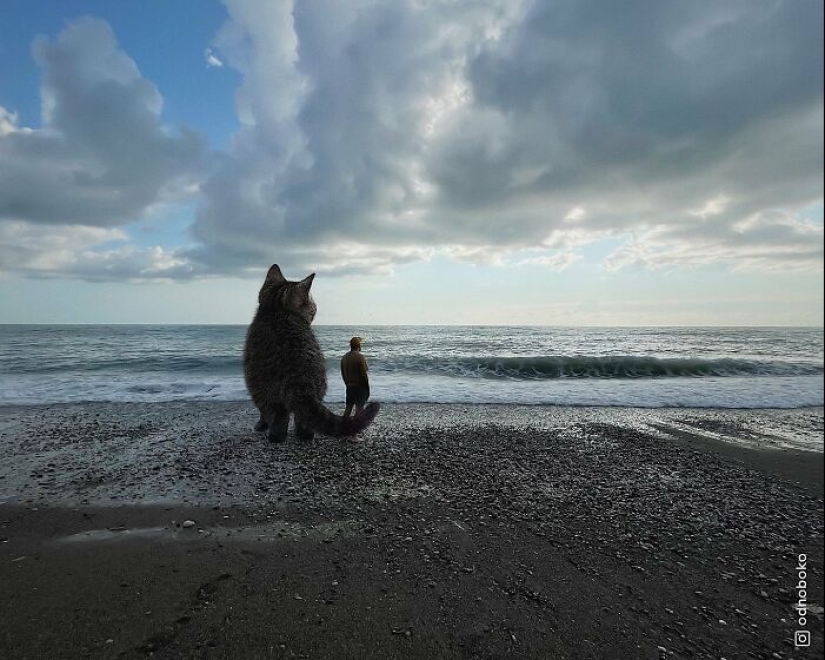 Si los gatos fueran gigantes: artista explora un concepto surrealista creando imágenes de apariencia realista