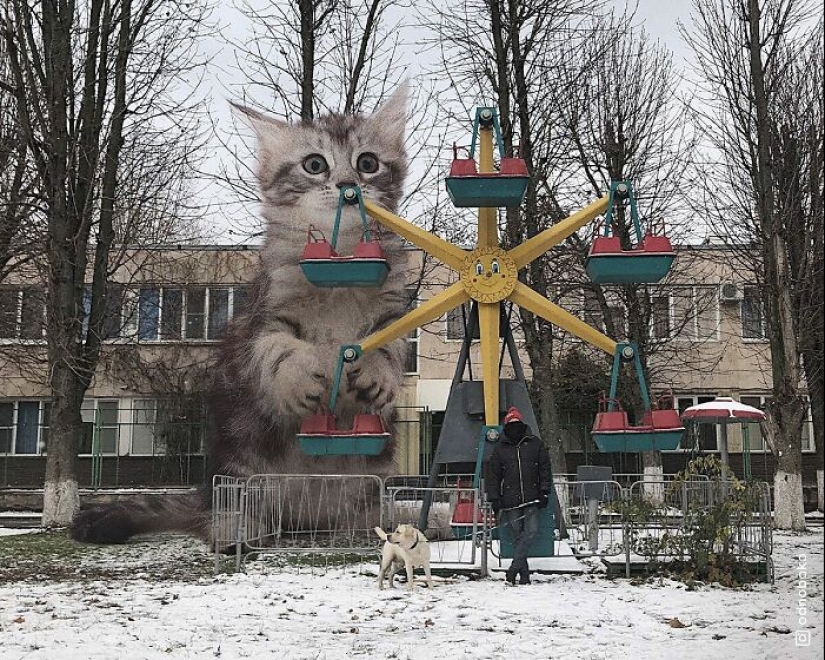 Si los gatos fueran gigantes: artista explora un concepto surrealista creando imágenes de apariencia realista