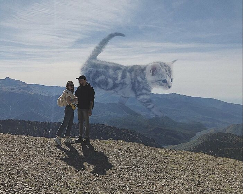 Si los gatos fueran gigantes: artista explora un concepto surrealista creando imágenes de apariencia realista