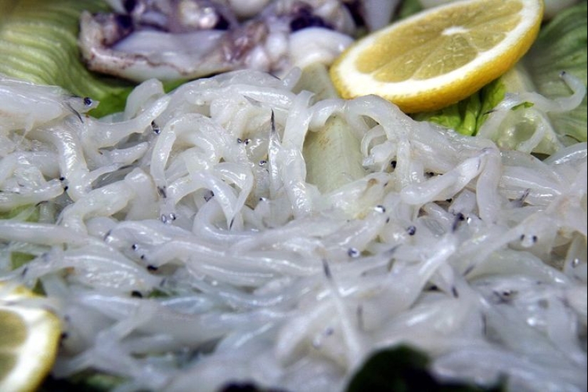 Sin sabor y color, cuesta mil euros: cómo los alevines de anguila de río se convirtieron de alimento para animales en un manjar