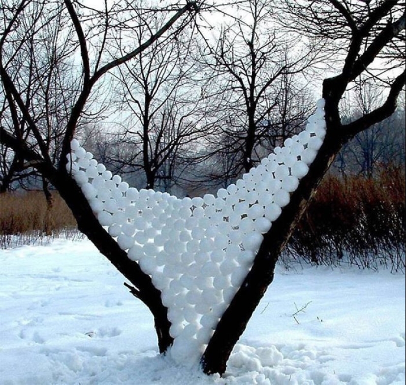 Snow wonders that you will see once in your life