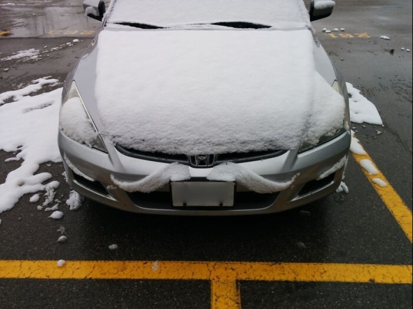 Snow wonders that you will see once in your life