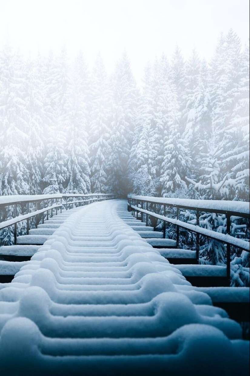 Snow wonders that you will see once in your life