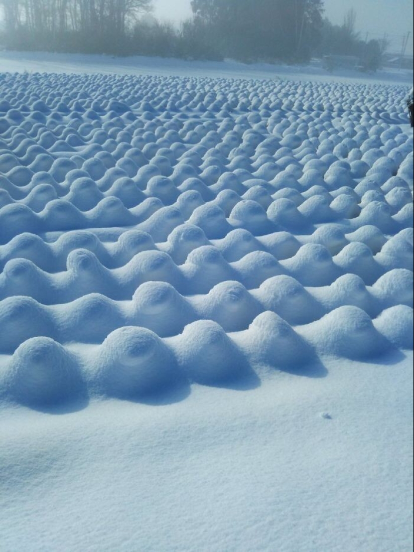 Snow wonders that you will see once in your life