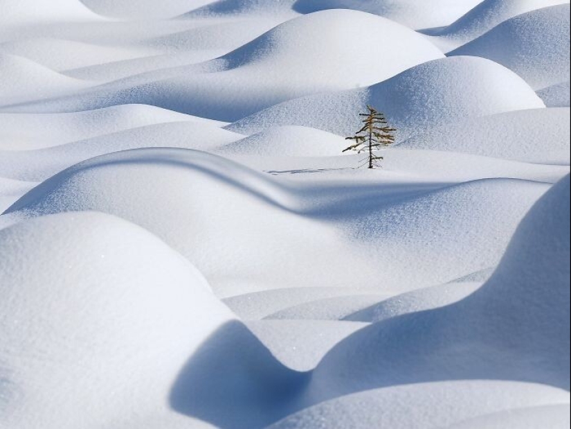 Snow wonders that you will see once in your life