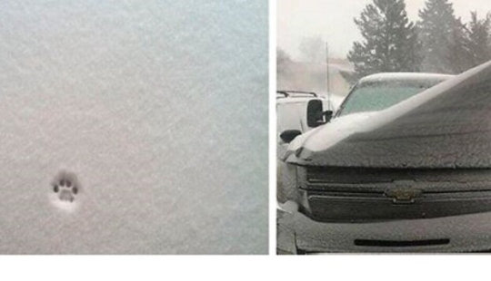 Snow wonders that you will see once in your life Snow wonders that you will see once in your life