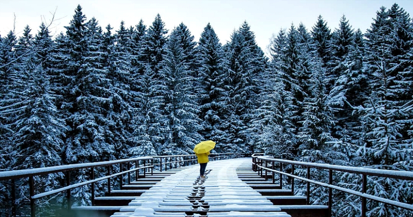 Soothing winter landscapes by a German photographer Soothing winter landscapes by a German photographer