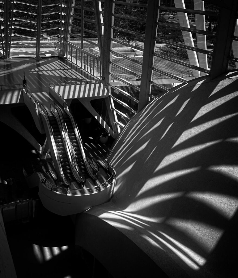 Soy un fotógrafo principiante de 13 años sin cámara, y aquí hay 11 fotos que tomé en los últimos 6 meses