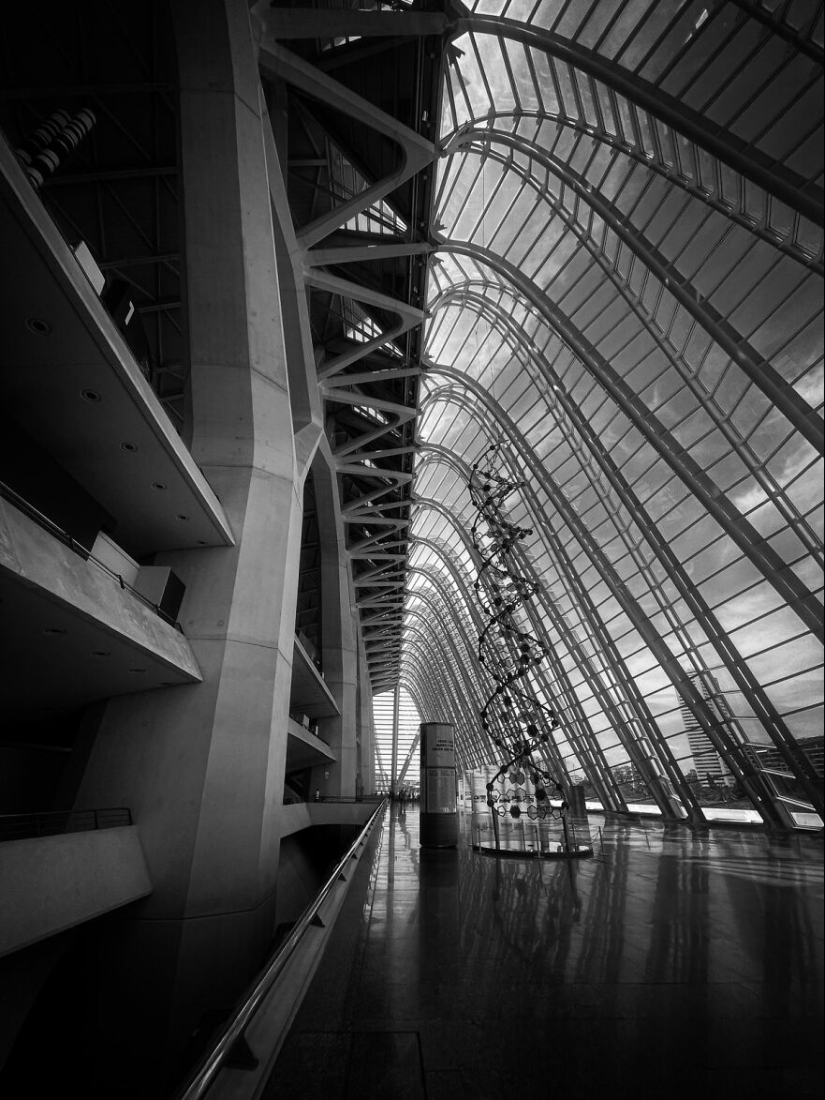 Soy un fotógrafo principiante de 13 años sin cámara, y aquí hay 11 fotos que tomé en los últimos 6 meses