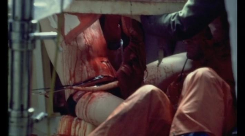 Special effects in the cinema — Space horror in the movie "Alien"