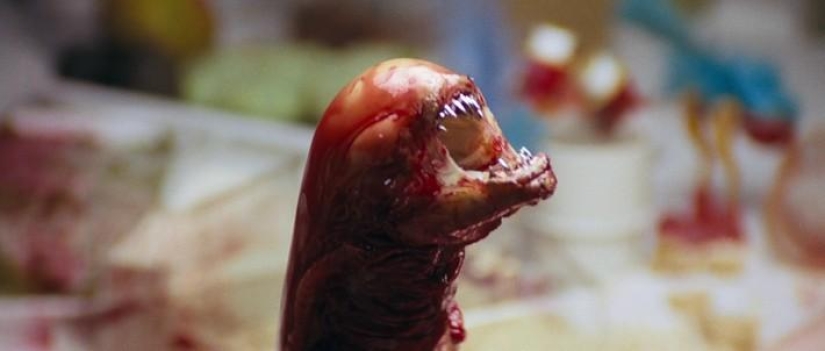 Special effects in the cinema — Space horror in the movie "Alien"