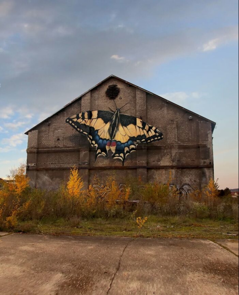 Specimen Boxes: 13 Giant Butterfly Murals Painted By This French Artist Across The World