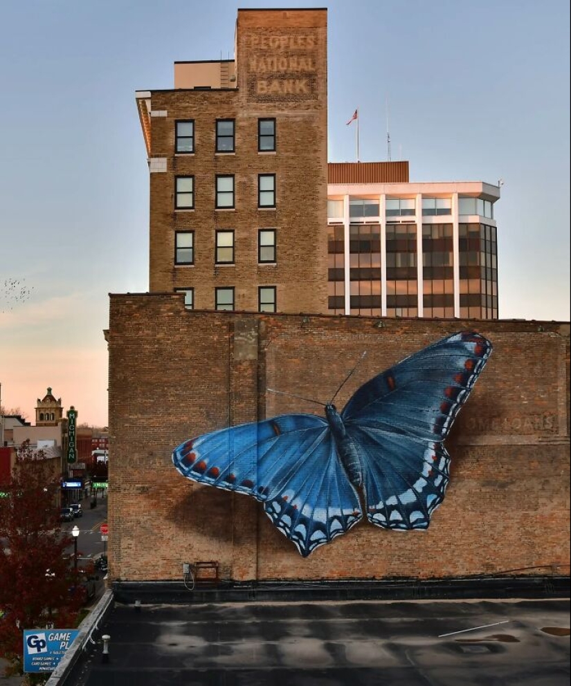 Specimen Boxes: 13 Giant Butterfly Murals Painted By This French Artist Across The World