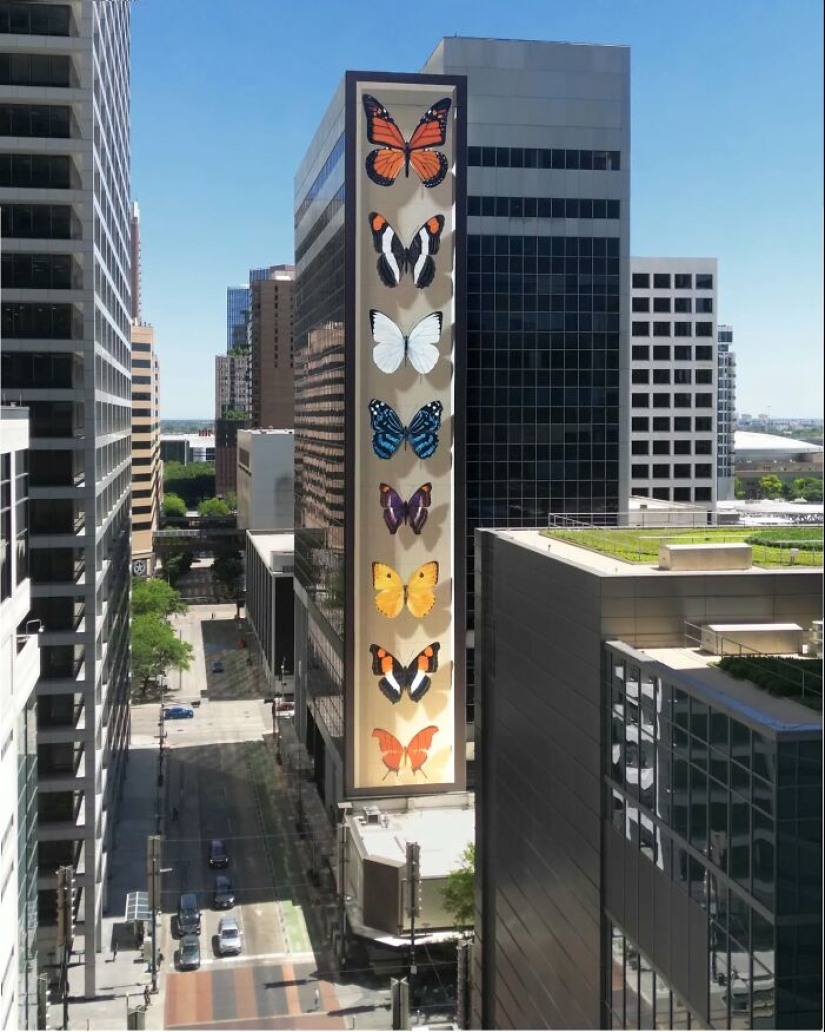 Specimen Boxes: 13 Giant Butterfly Murals Painted By This French Artist Across The World