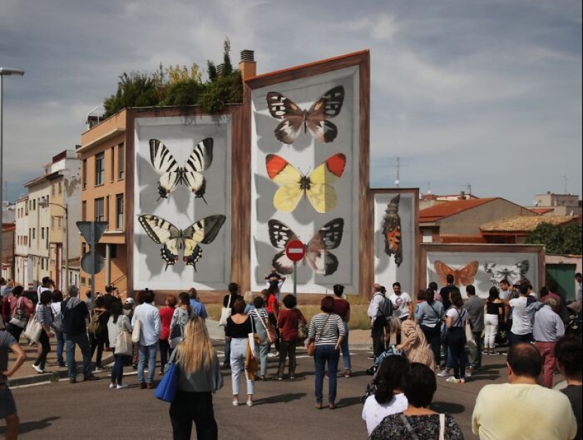 Specimen Boxes: 13 Giant Butterfly Murals Painted By This French Artist Across The World