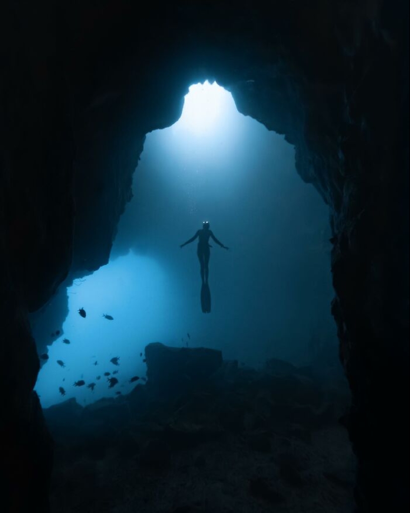 Stunning Underwater Photography Of Marine Life By Rachel Moore Stunning Underwater Photography Of Marine Life By Rachel Moore