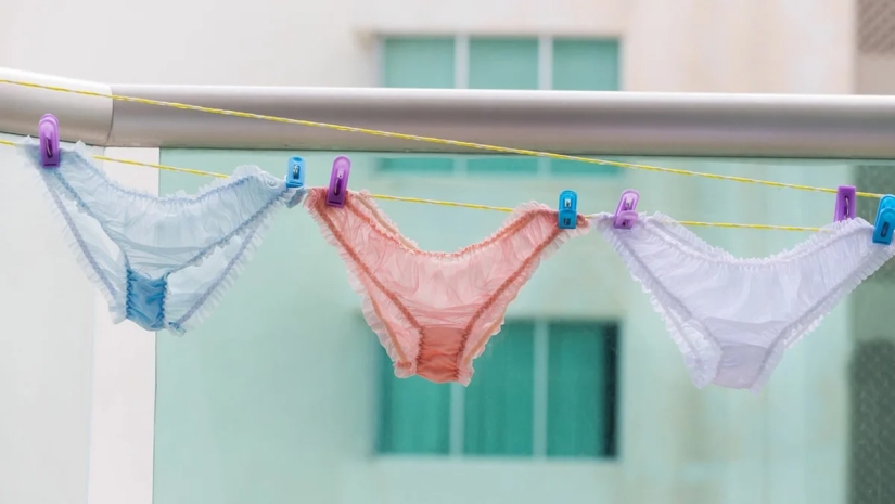Sushi underpants right! How to wash underwear so as not to catch an infection Sushi underpants right! How to wash underwear so as not to catch an infection
