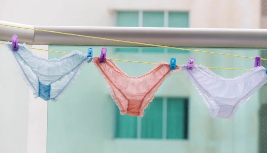 Sushi underpants right! How to wash underwear so as not to catch an infection Sushi underpants right! How to wash underwear so as not to catch an infection