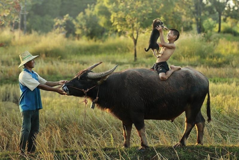 Tailandia fabulosamente hermosa en fotografías de Sarawut Vanset