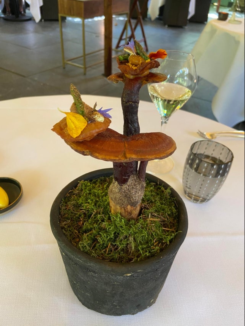 Tapas on Jack Nicholson's head, rolls on a skateboard and 20 more examples of strange serving of dishes Tapas on Jack Nicholson's head, rolls on a skateboard and 20 more examples of strange serving of dishes