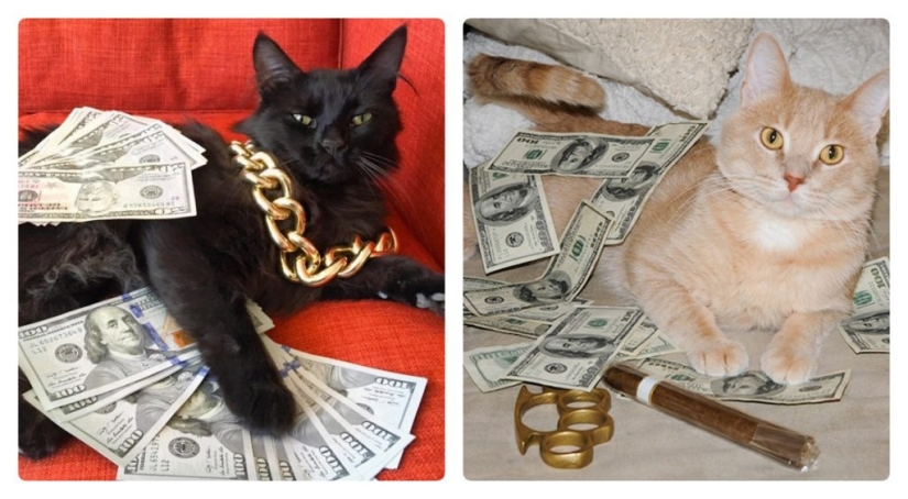 Tarjetas, dinero, dos barril: 20 gangsteritto fotos de instagram Tarjetas, dinero, dos barril: 20 gangsteritto fotos de instagram
