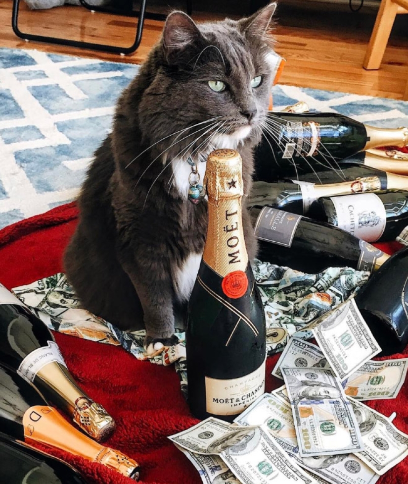 Tarjetas, dinero, dos barril: 20 gangsteritto fotos de instagram Tarjetas, dinero, dos barril: 20 gangsteritto fotos de instagram